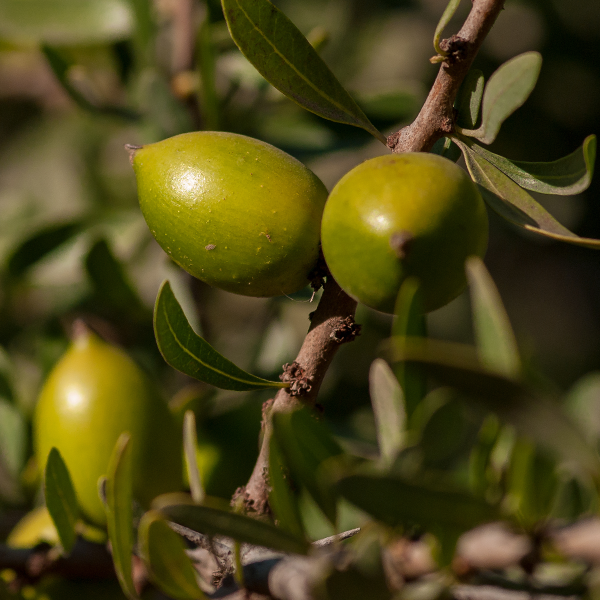 mise en scène Perfect Serum 80ML