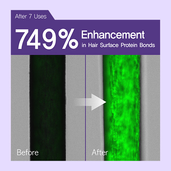 ミザンセーヌ サロン10 プロフェッショナル シカ セラミド オイル セラム 60ML 【25USD(≒3,700円)以上で送料無料】