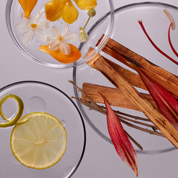 LABO-H Scalp Strengthening Shampoo Hair Loss Care Blanche&Woody 400ML