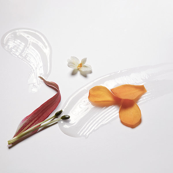 LABO-H Scalp Strengthening Shampoo Hair Loss Care Blanche&Woody 400ML