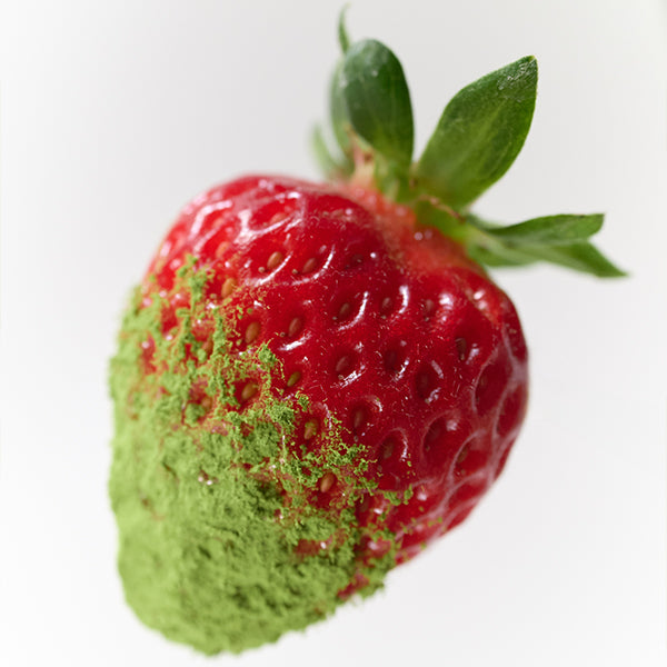 OSULLOC 緑茶ストロベリーラングドシャ（10個入り）