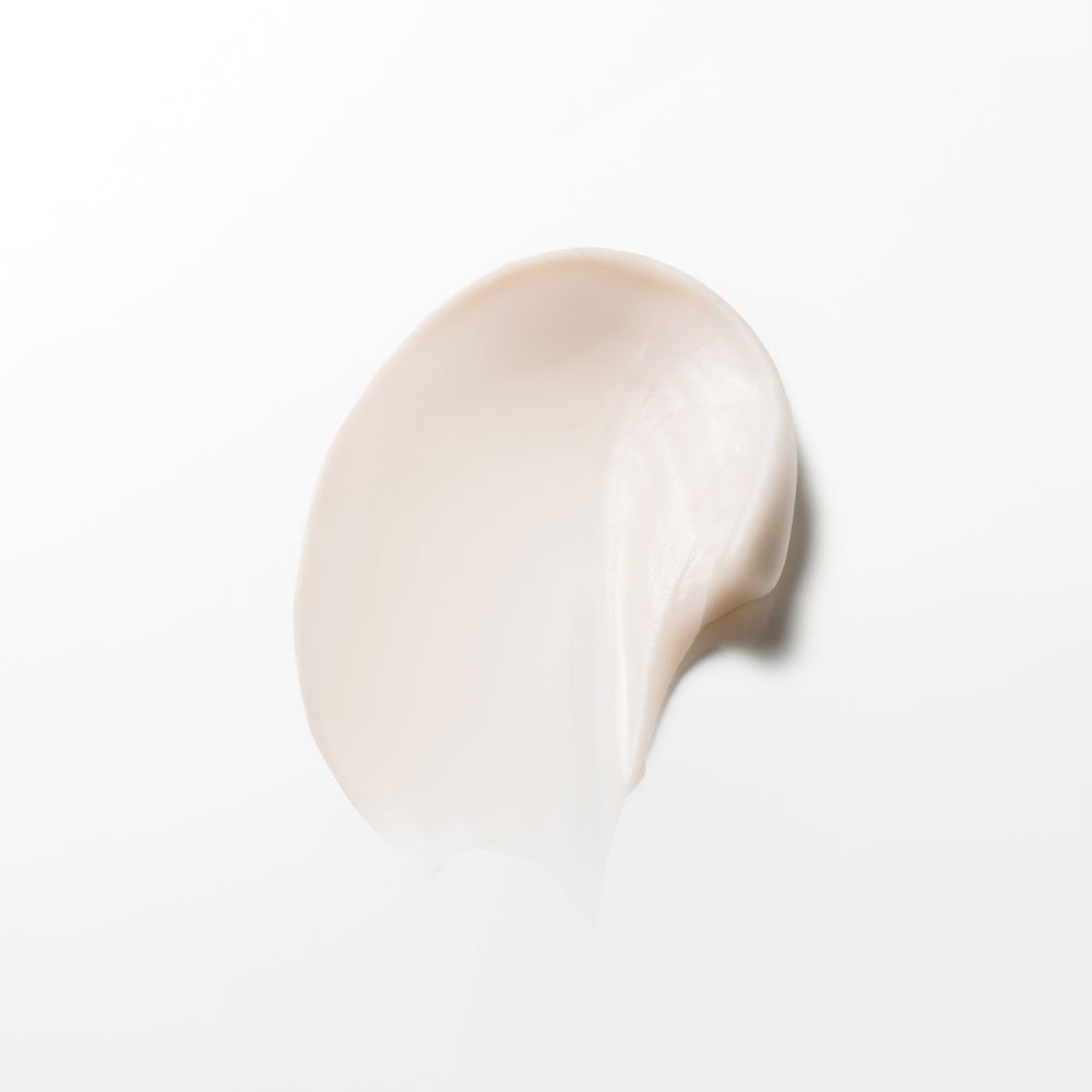 HERA Signia Cream Special Set – Global AMORE MALL