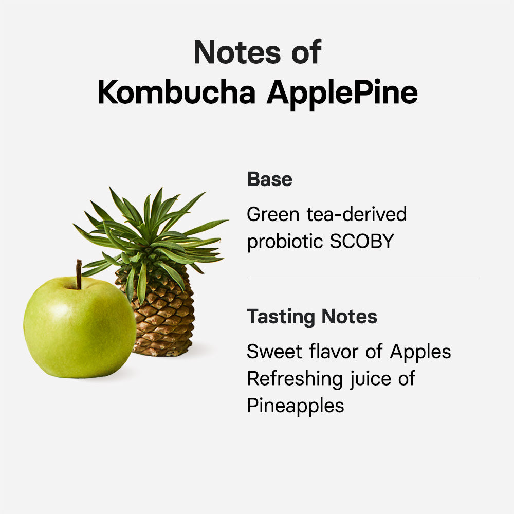OSULLOC Kombucha Apple Pine (10 sticks)