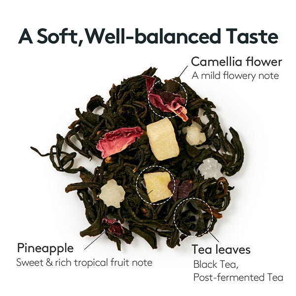 OSULLOC Camellia Forest Tea (20 count)