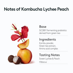 OSULLOC KOMBUCHA LYCHEE PEACH (10 STICKS, 1.76oz)
