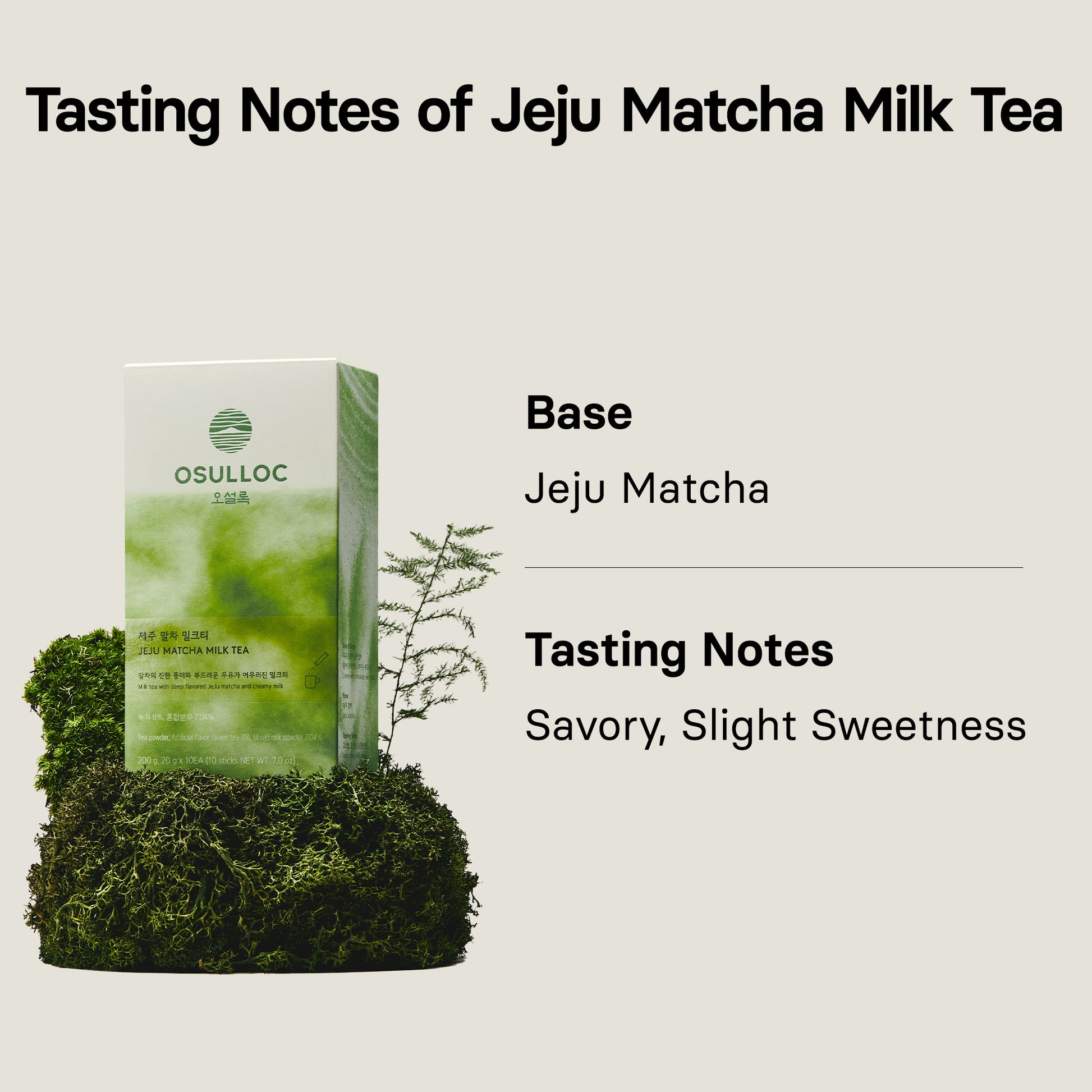 Osulloc Matcah Mania Bundle with Jeju Matcha Milk Tea tasting notes on a natural background