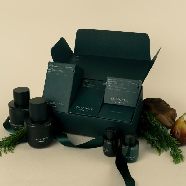 ODYSSEY Chapter V Anti-Oxidant Sanctuary Gift Set(Product : Anti-Oxidant Toner 140ml+Anti-Oxidant Moisturizer 110ml  / Free Sample : Anti-Oxidant Toner 30ml+Anti-Oxidant Moisturizer 30ml)