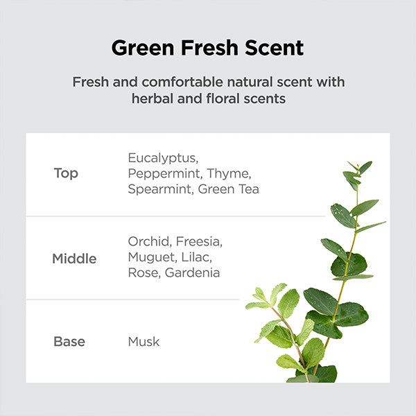 AMOS The Green Tea Essential Tonic 80 ml
