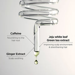 The Green Tea Shampoo Refresh 80 g