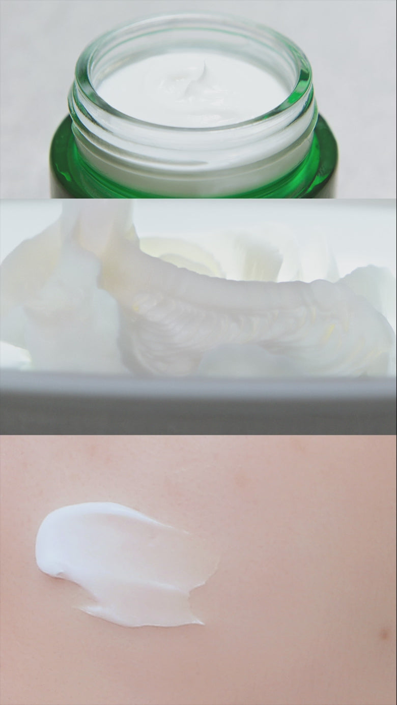 INNISFREE Green Tea Ceramide Cream – Global Amore Mall