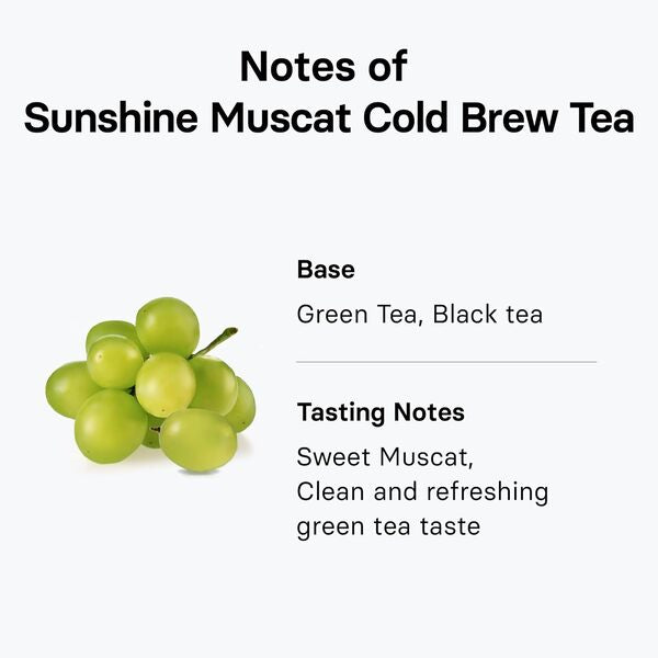 [Cold Brew Bundle] OSULLOC Sunset Peach, Honey Pear, Muscat Cold Brew Tea (60ea)